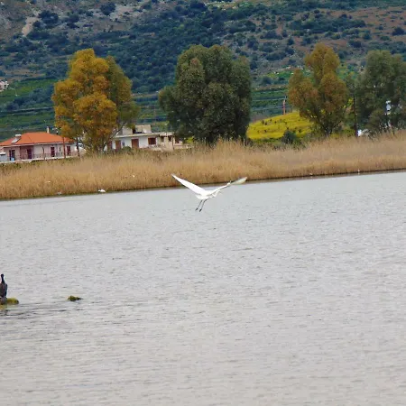 Xenon Christina Vivári