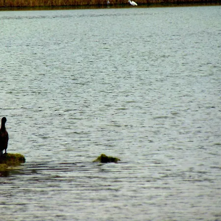 Xenon Christina * Vivári