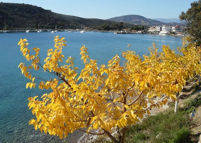 Appartement Xenon Christina