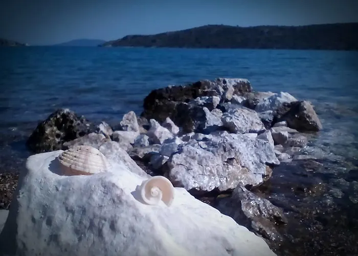 Appartement Xenon Christina