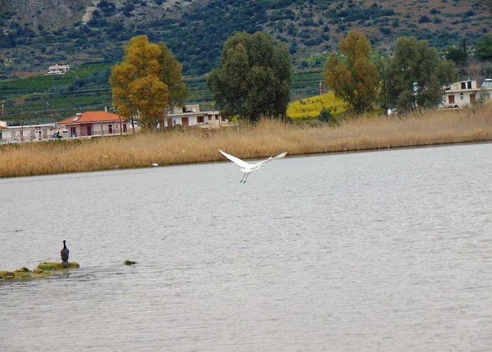 Xenon Christina Vivári