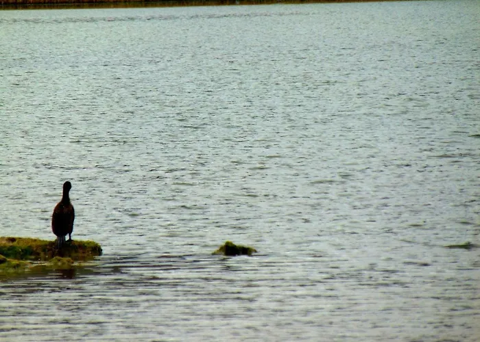 Xenon Christina * Vivári